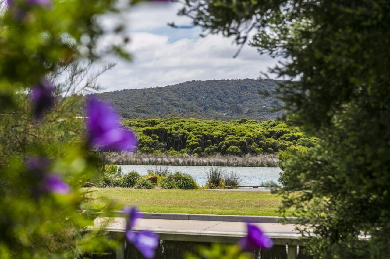 Rivernook Anglesea Exteriör bild